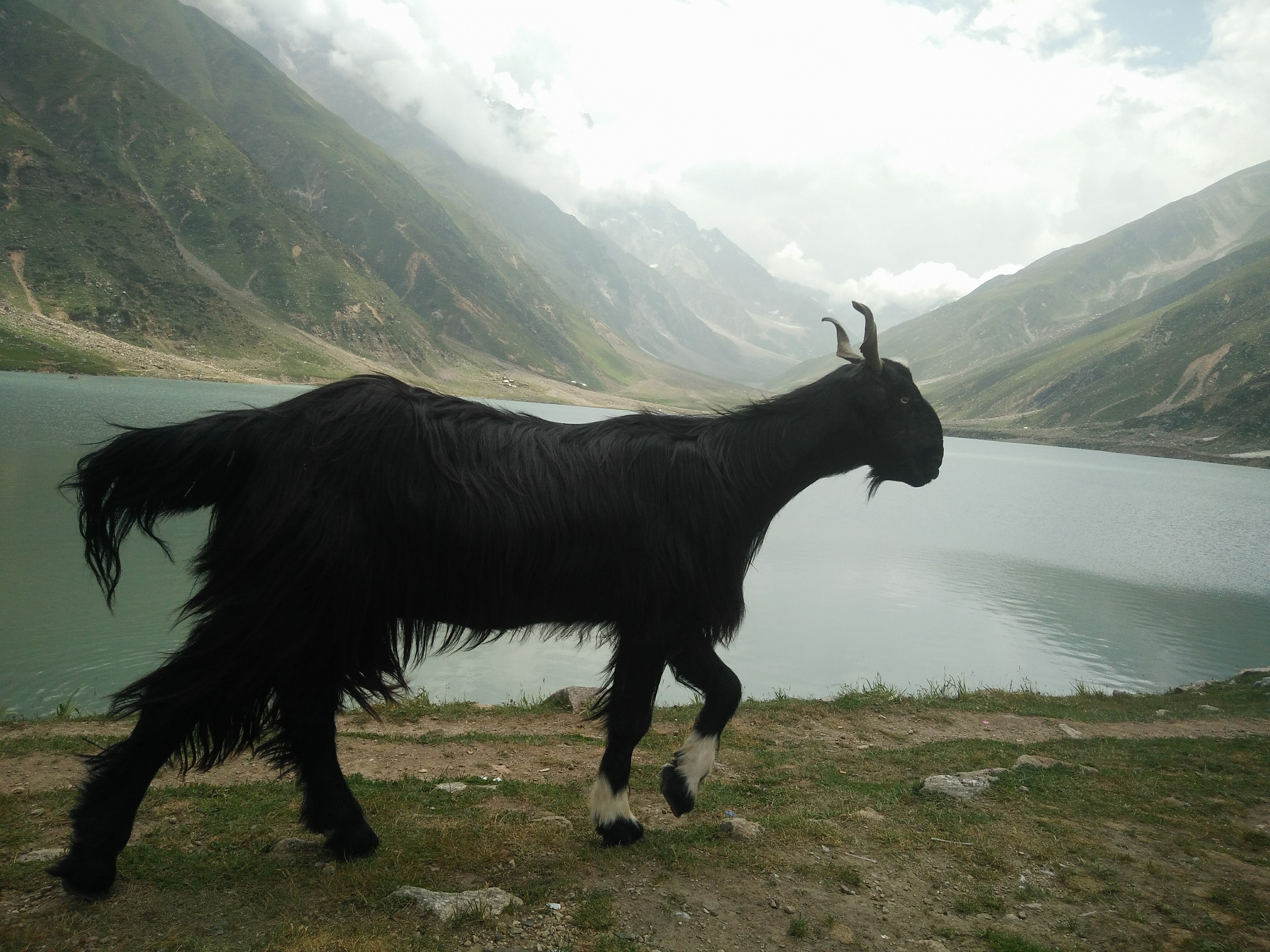 Somewhere in Kashmir, Pakistan