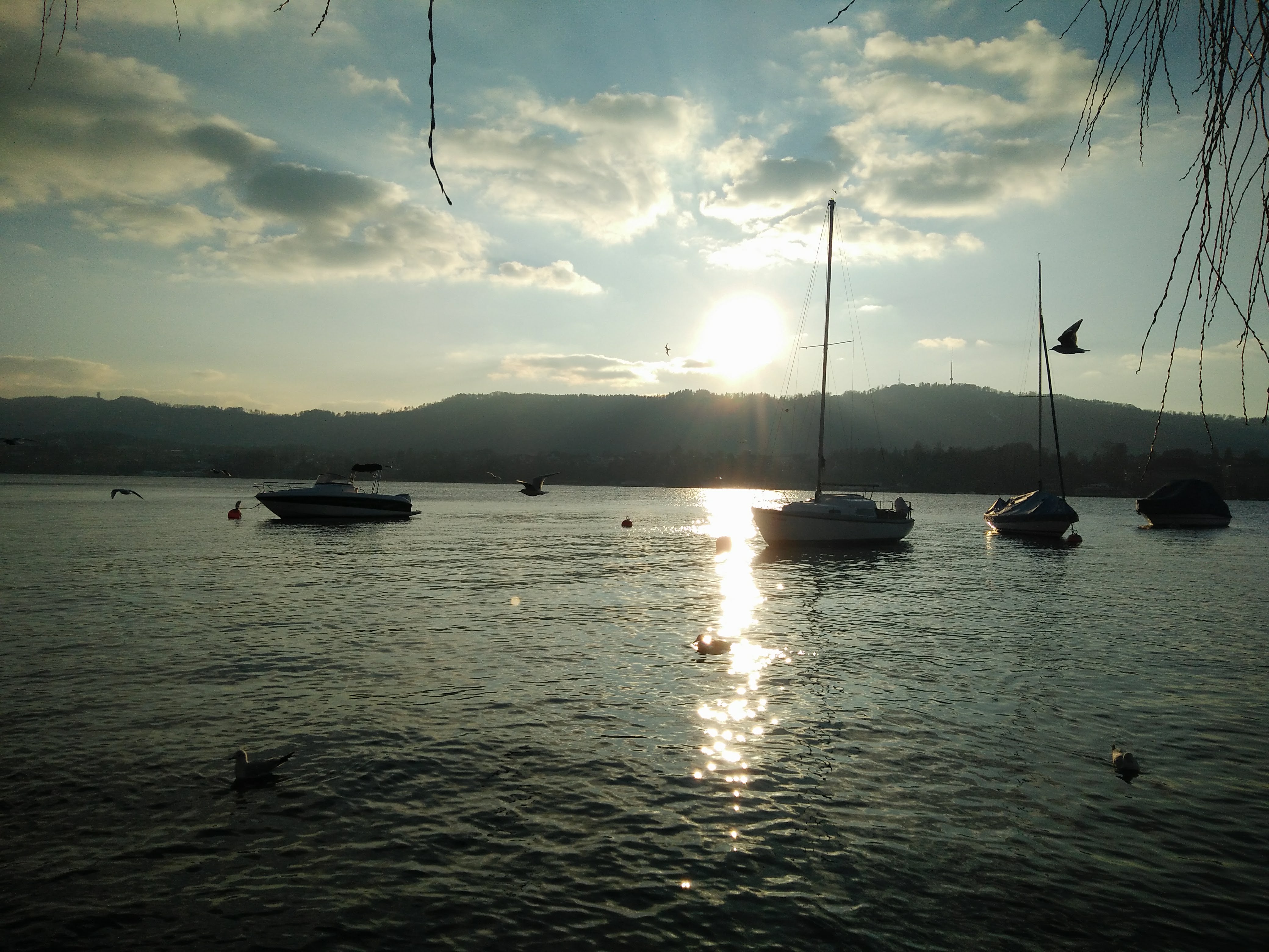 Zurich Lake - Switzerland