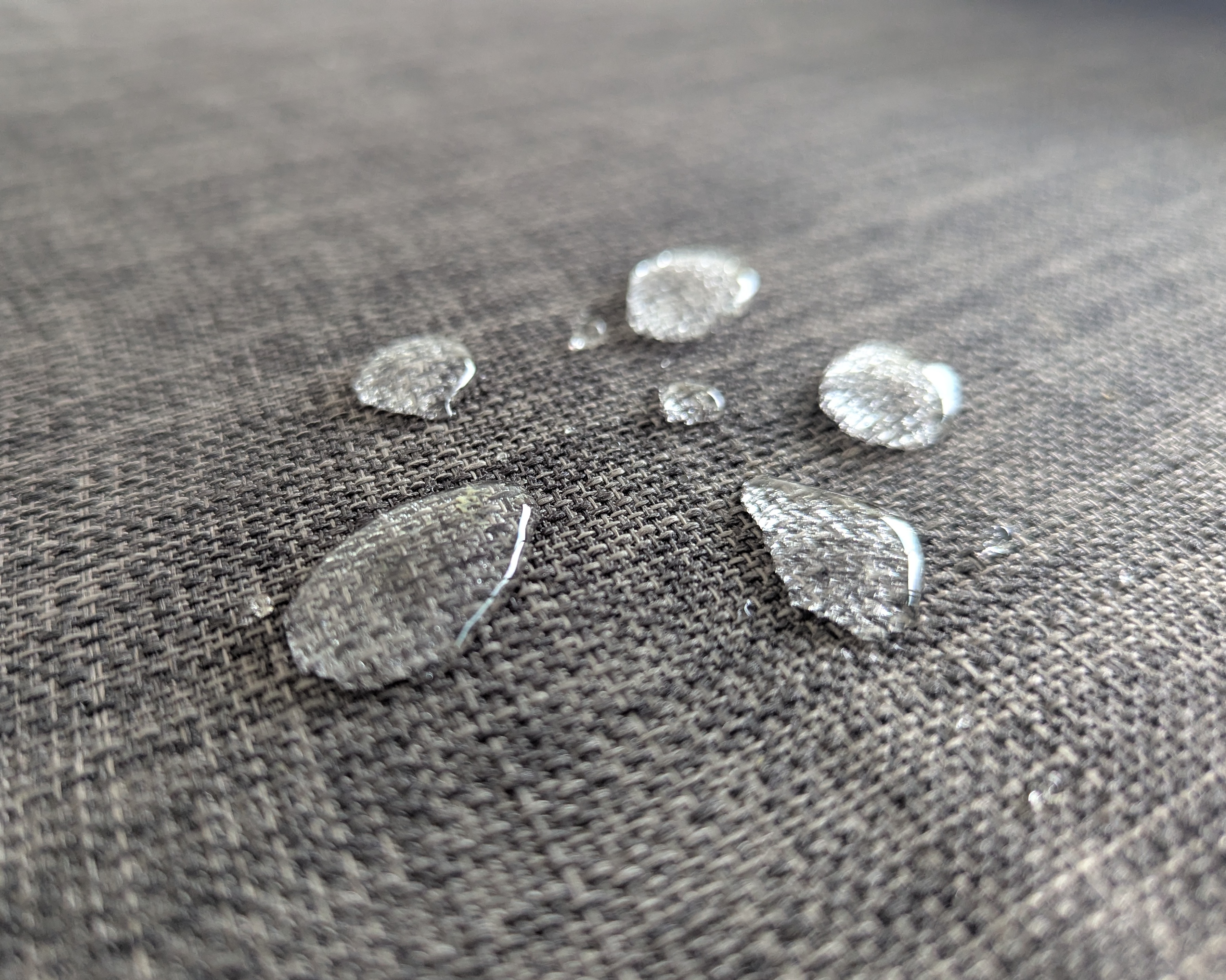 Flower, Home sweet home, Germany