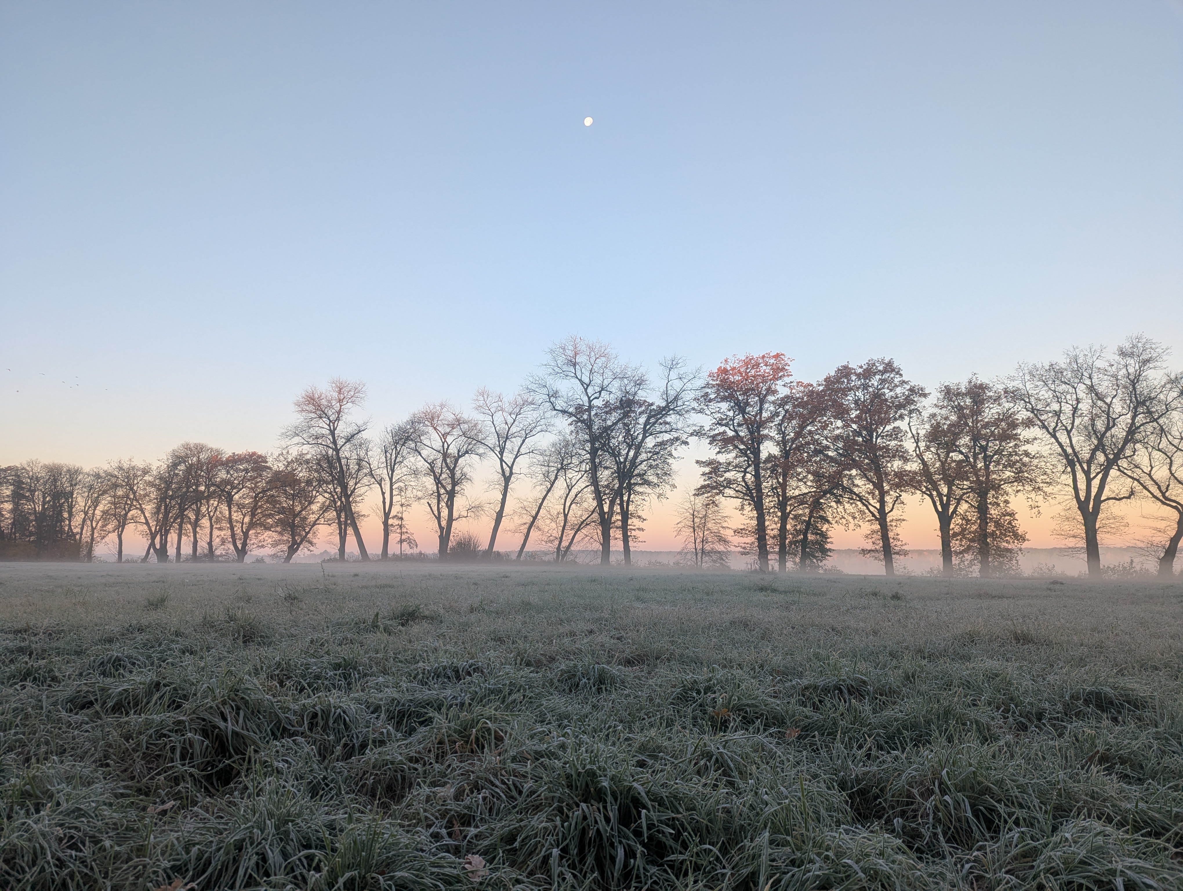 Dawn by Scharmützelsee - Brandenburg, Germany